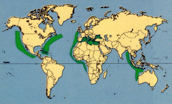Carte localisation