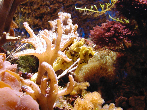 Biotope